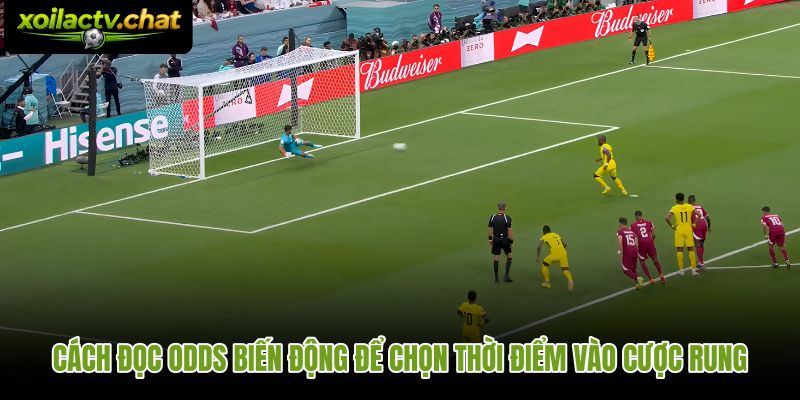 Thời điểm vào lệnh quyết định kèo rung ăn bao nhiêu sau mỗi biến động